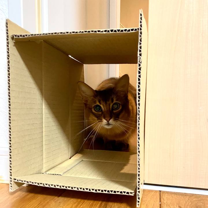 4733b294 2626 4241 b9cb 9f2d6c5f1451 1639282105922