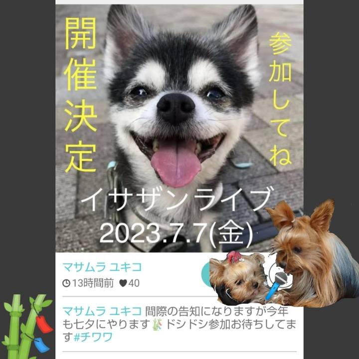 47341ce0 c7fd 4dac af6e e986fb82992b 1688557015168