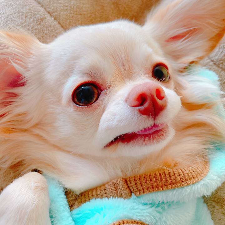 47346abc c00c 43bf a5b0 4322f587b95b 1636368937392