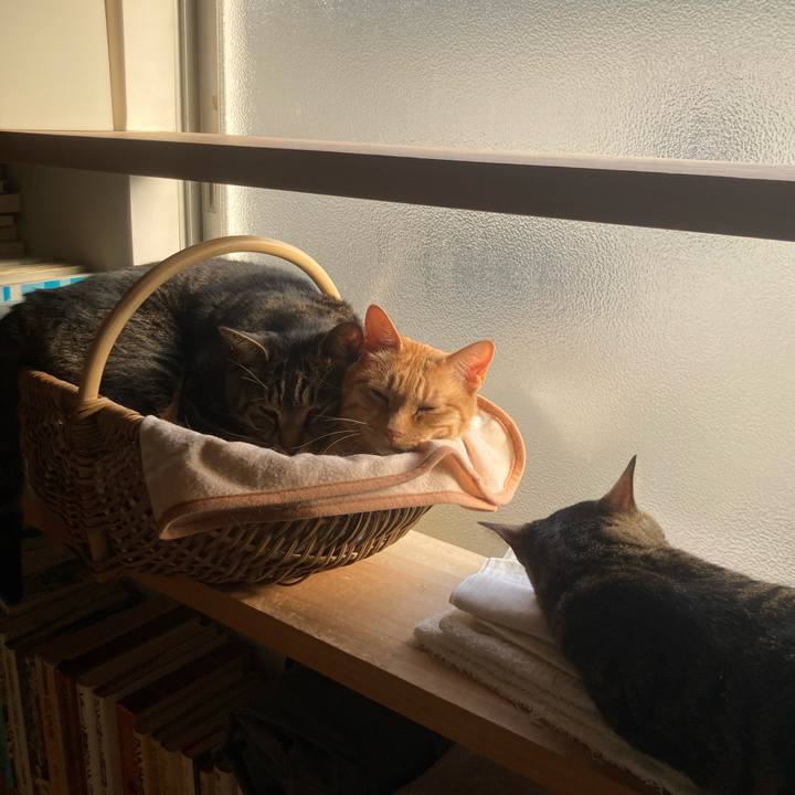 4734adcf 39bf 4ead b897 58e3df07a642 1710854873467