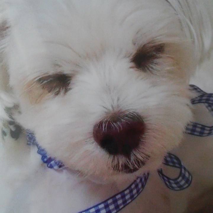 4734b3f4 8924 4562 be23 bc3be32e755e 1561514737027