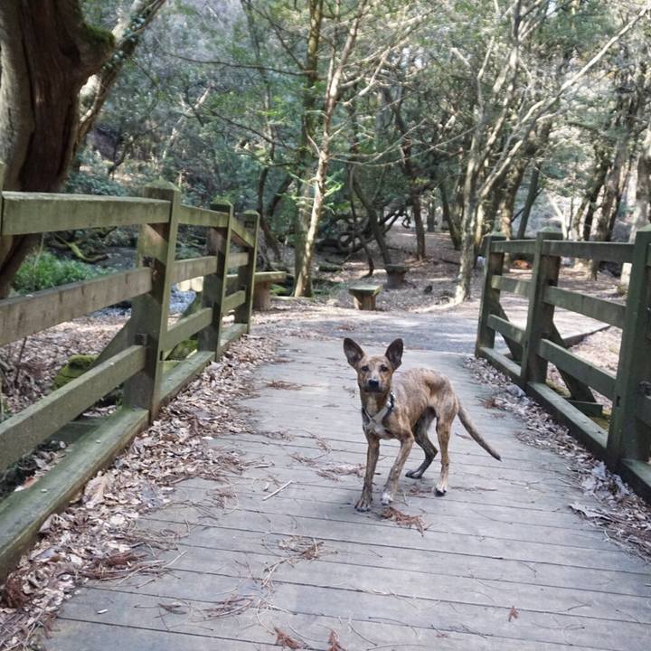 4734be78 b470 427c beb5 1cb2a4514b47 1582103666633