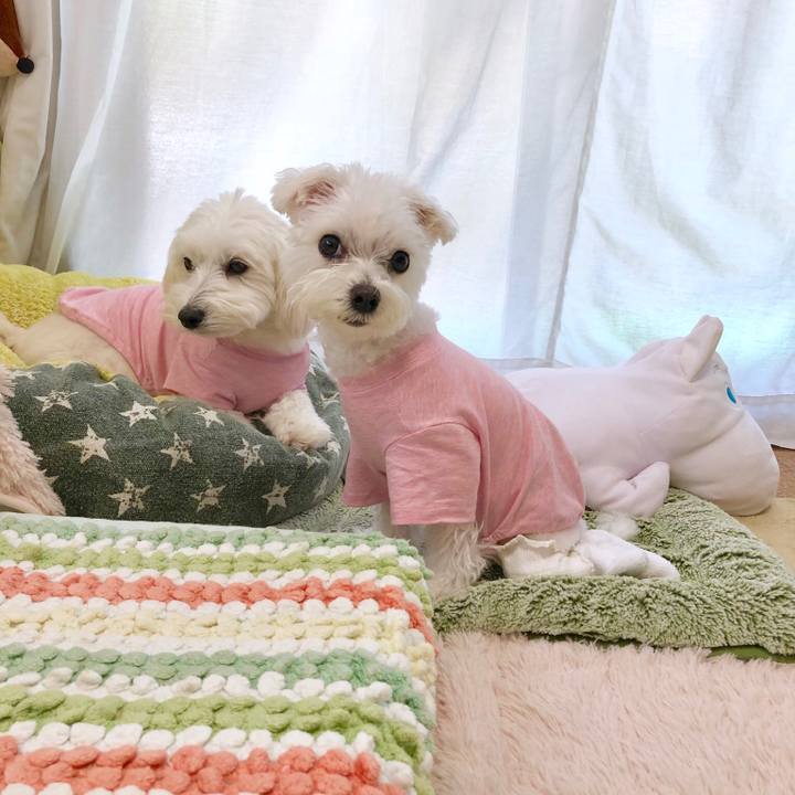 4734ee39 d72f 473b 824a 45d51e532d58 1557127011277