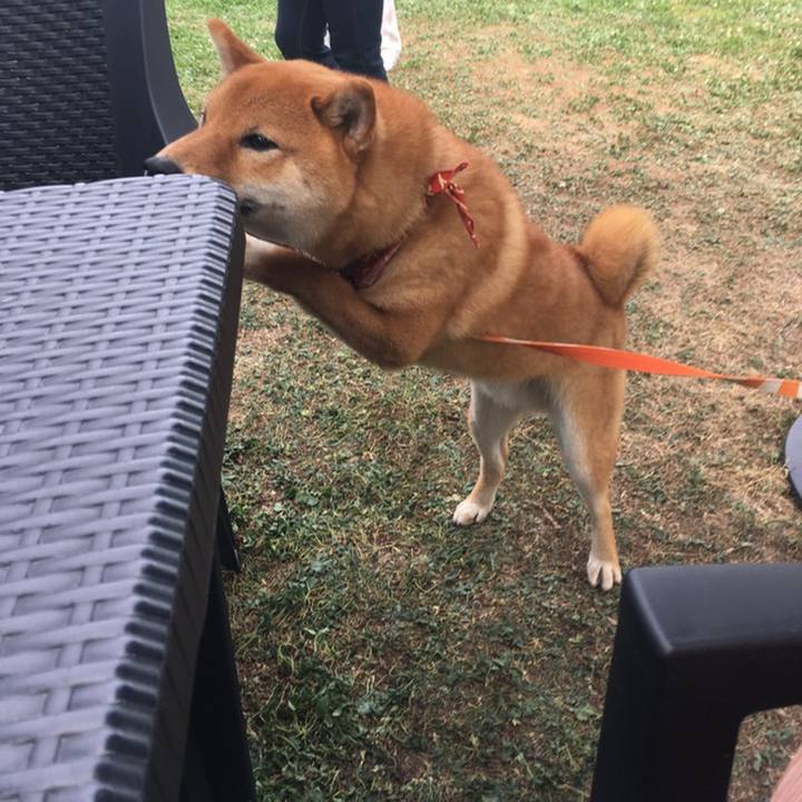 4734f1f9 d2bb 44dd 9492 73a3a644bda5 1558329604214