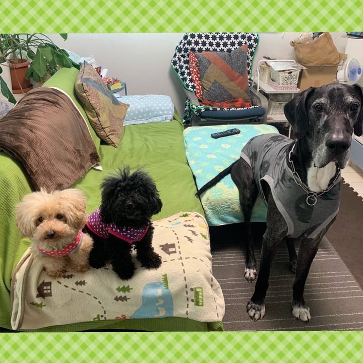 4735131d 8d14 4ae6 a9c5 910068e90d55 1589235765113