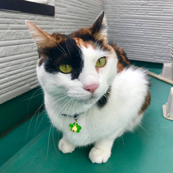 47355ae4 54e2 4c15 a863 d70036123037 1514510708354