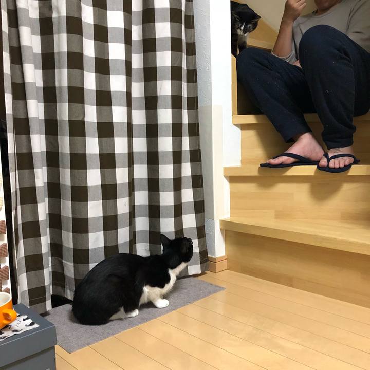 47355c37 36f7 47e3 8234 2d6a843c8875 1530930156034