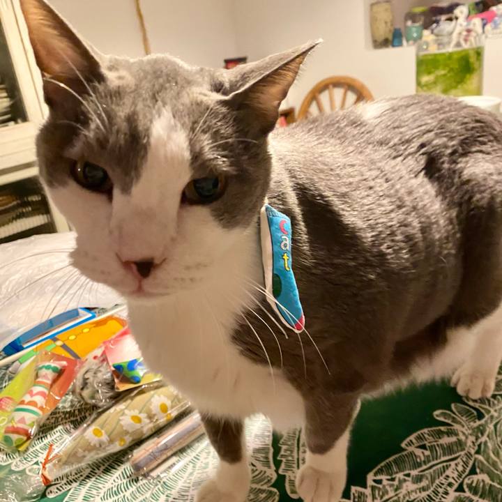 473590d4 20ed 4dfc a880 ff438ae11899 1764500302120