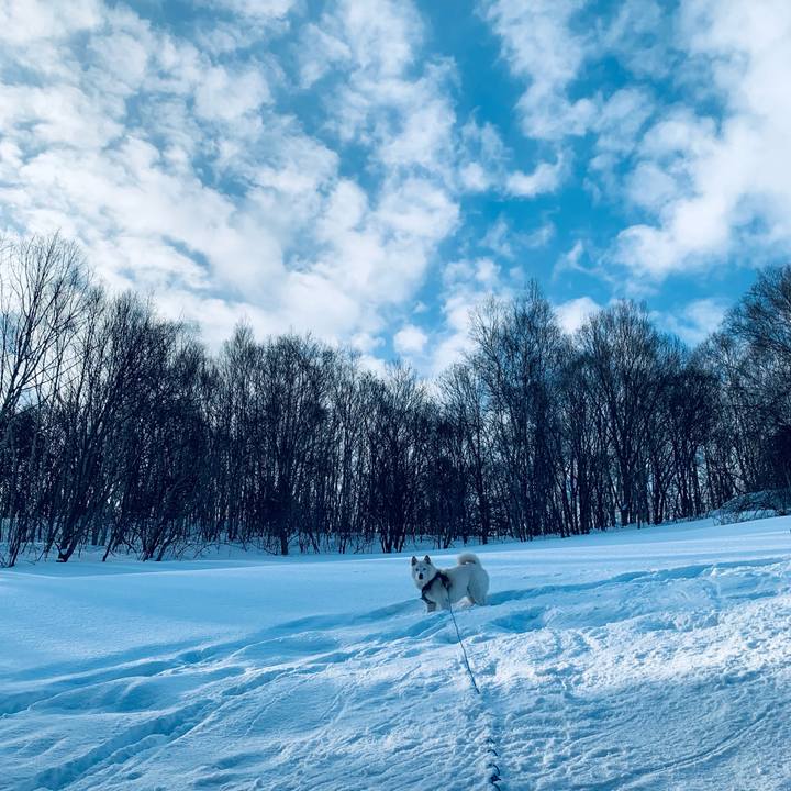 4735a418 f4c1 4f4c 968d e20d64a5a941 1646352394679