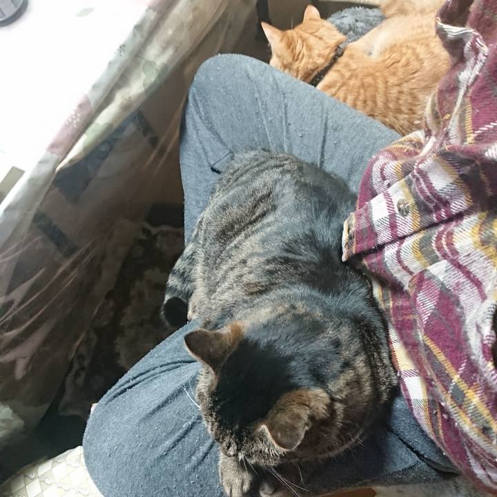 4735aee5 c29b 4fc1 b29c 14e57ab41946 1643370750499