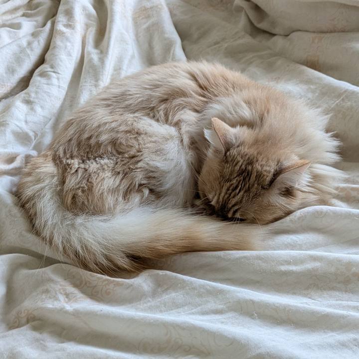 4735b880 5de0 4d00 8cd1 081d85b848c7 1744425689017