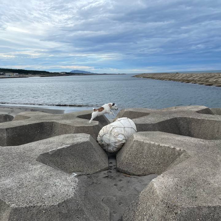 4735c6e3 7fe3 47f3 91da c1da83f1ab81 1729639954854