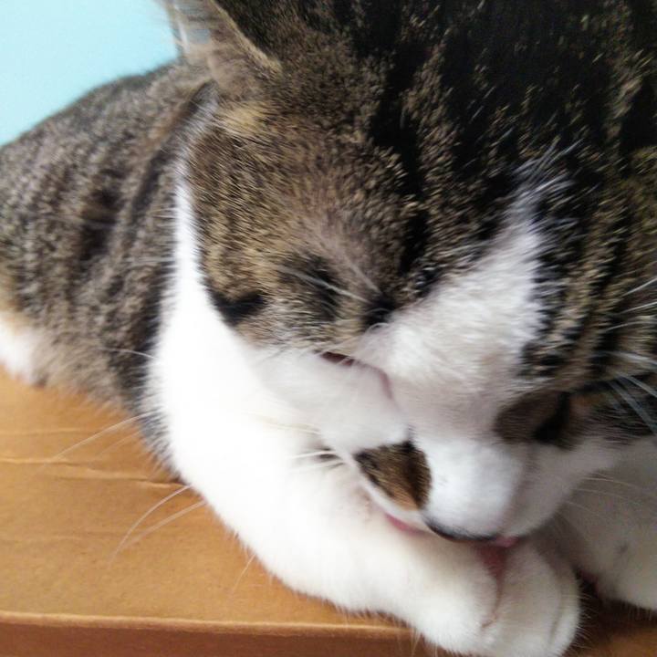 473643bd de25 4e68 bcef 5598d686f29b 1633929064156