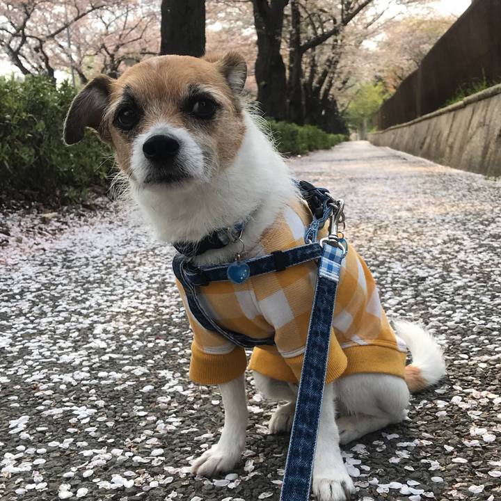 47365c1c 18e5 422c a261 8504cbdfdbfb 1522803153990