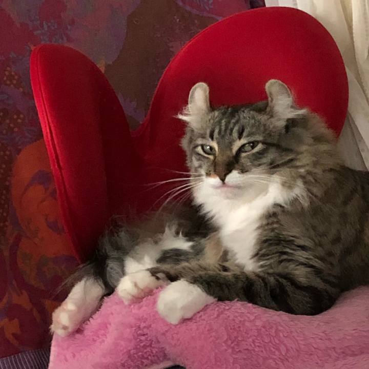 47366b39 e270 4623 8b01 e1ea367b0b8f 1528537793495