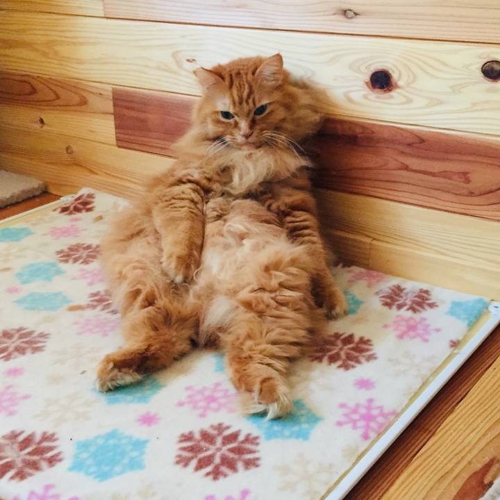 47366ea5 3151 45b4 b0cf a858fd7fe75d 1572994415904