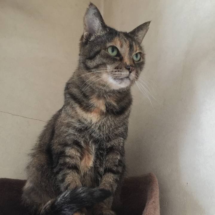 4736babb 840c 434d b88a 39f6bc758958 1553605820855