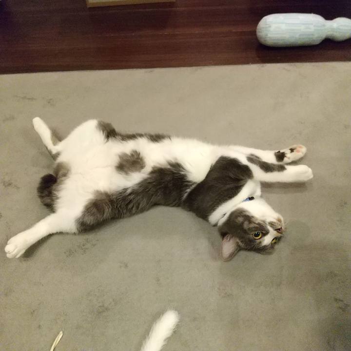 473705a0 f07e 4cae b3f4 cfc1ea2f1ef3 1603028316871