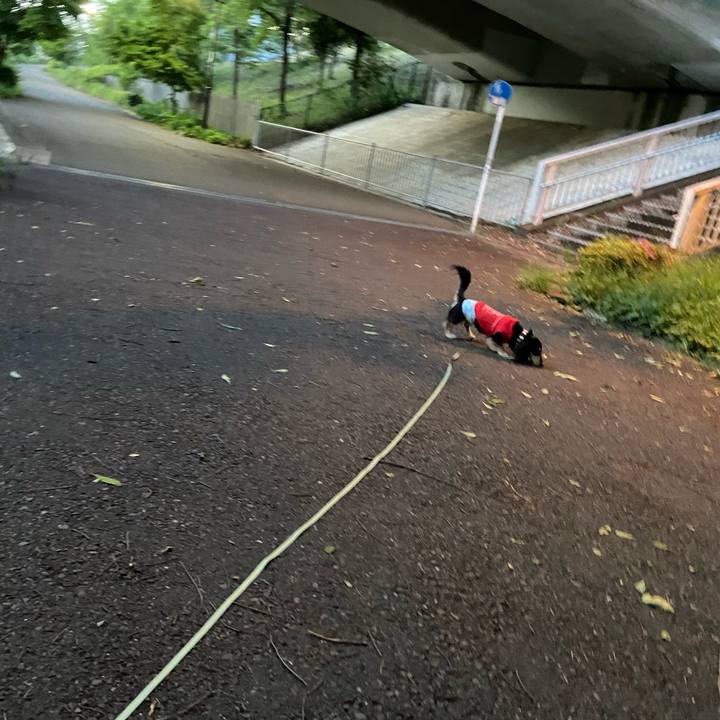 473722e3 cbb0 452c 930a e04efe40888f 1715338115549