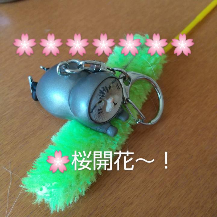 47375d90 fc16 4775 998b 0d118c2777fa 1649398502131