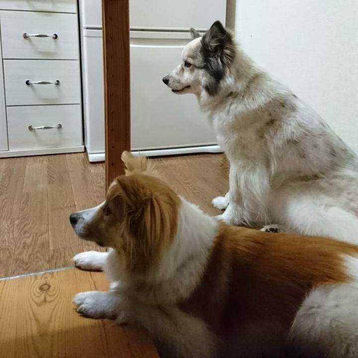 47378040 ea4e 49fb 8857 2c444585e96d 1527938304453