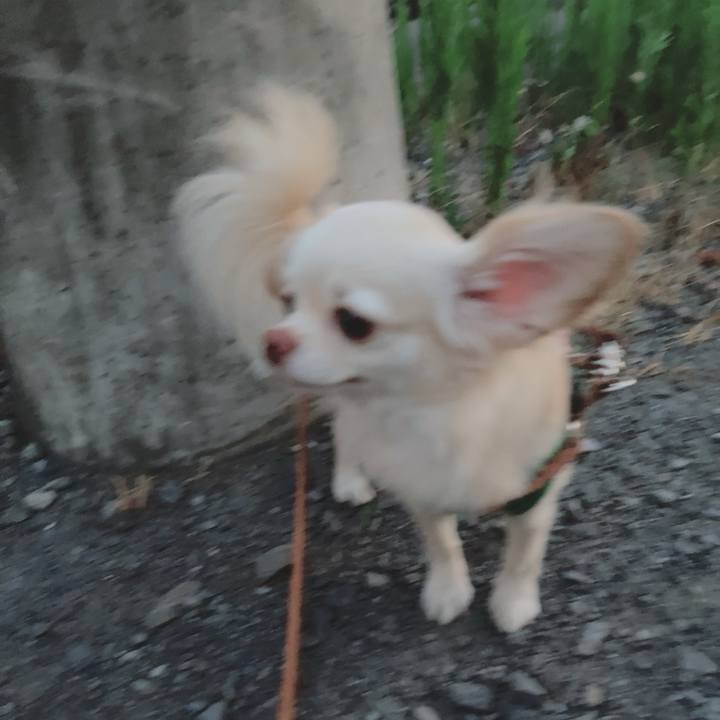 473788f9 cf3d 4abd acd4 aa15018a5fc7 1690197343377