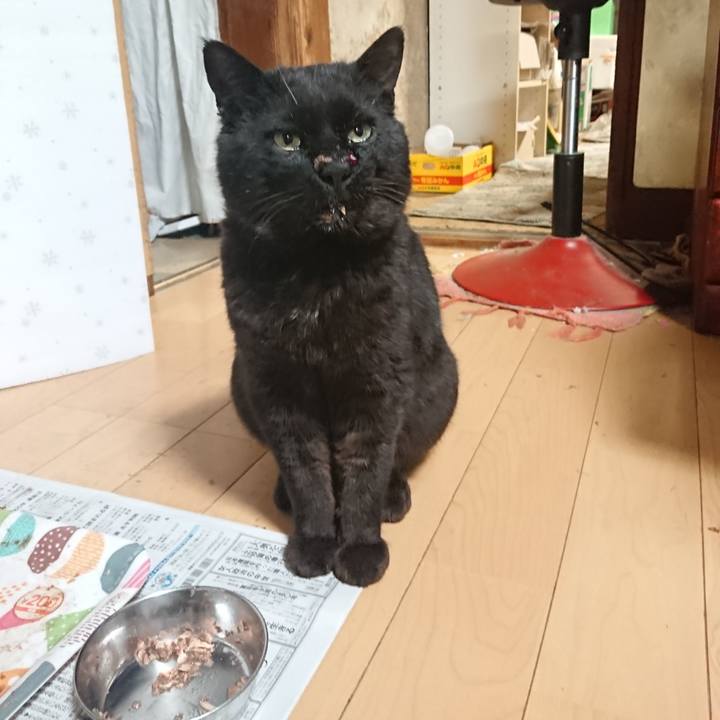 47378f40 2044 4bde a851 9fb7eca694d8 1653565641391