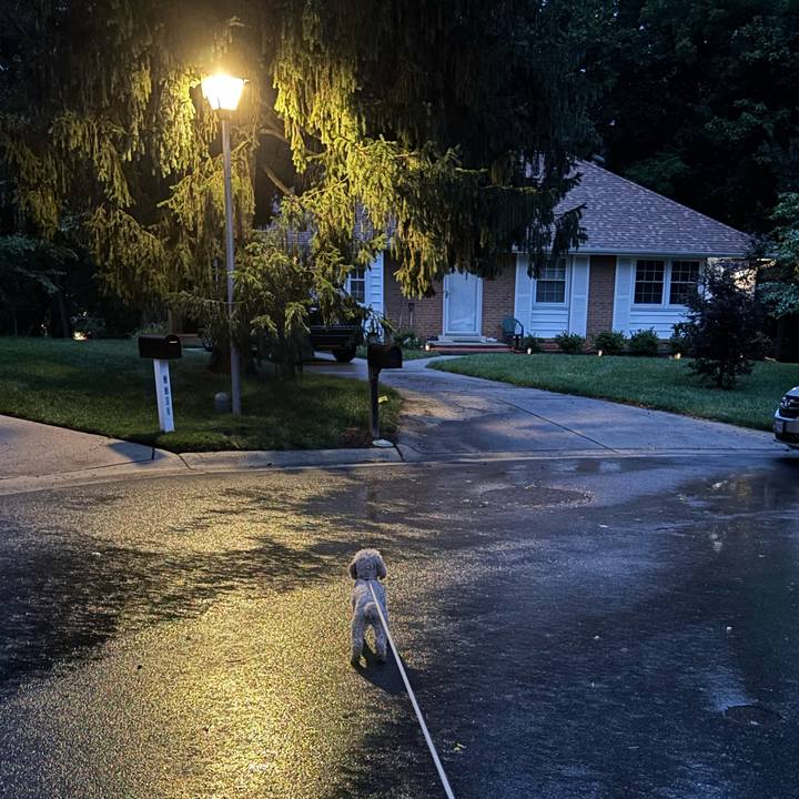 4737b557 4a87 4c8c b2c5 5953c0a980e7 1752110110103