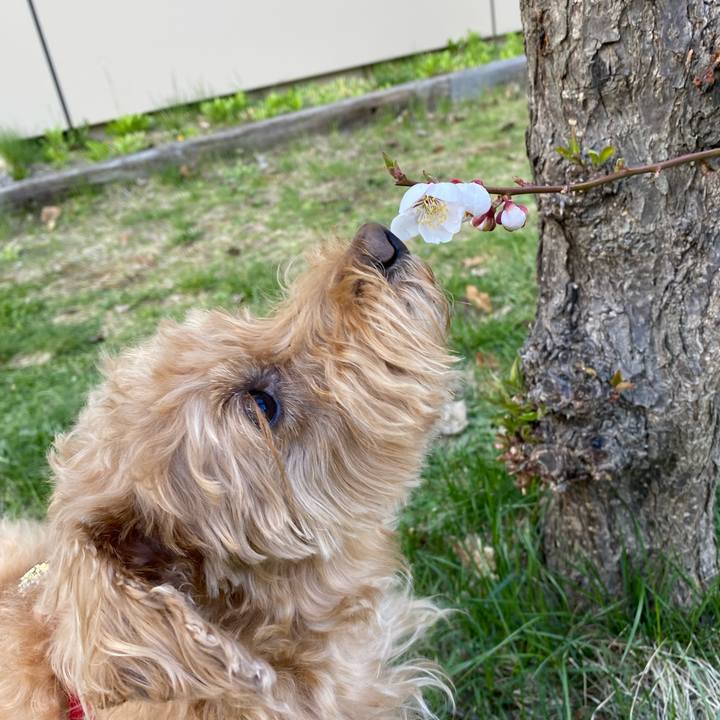 4737e268 1a83 4344 8460 5f40d5149a70 1682150296639