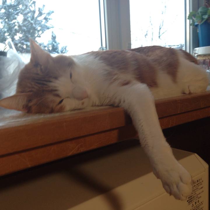 47381e16 12f2 4aa0 b38b 5dc5f31f162b 1518126322537