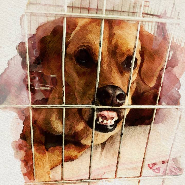 47382b20 2ed3 4290 a326 05d3c6ddcca4 1535559220811