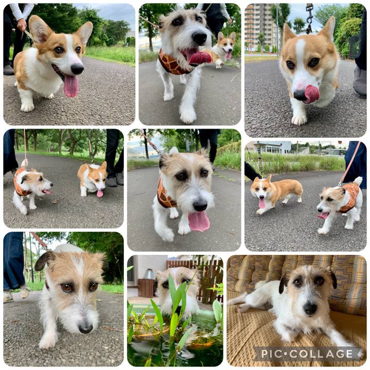 47382e7e 8934 4fca 8cb4 2f9ee8be8649 1686284615595