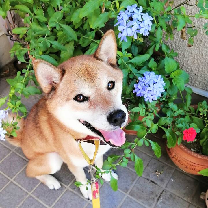 47383e77 47a5 4230 9b7a e855a09b58bd 1598573572484