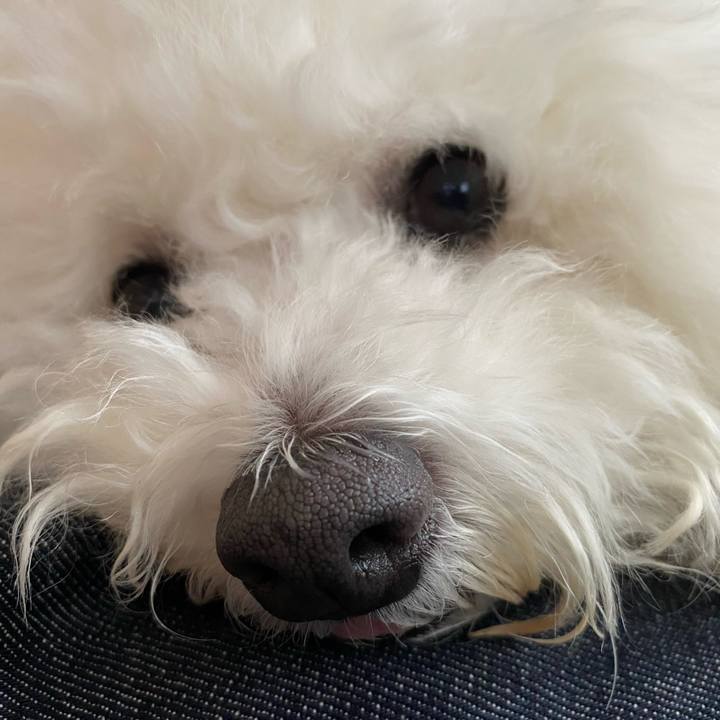 4738773f c6f1 44de 81a2 45df23bc15f3 1655176013902