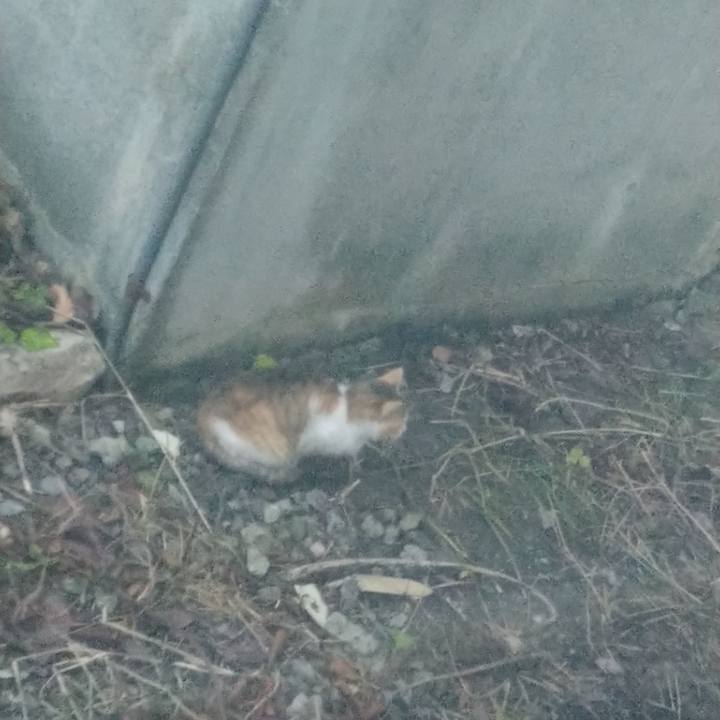 473891ac 9118 4f44 bde5 3996c8b3cf9f 1668755492553