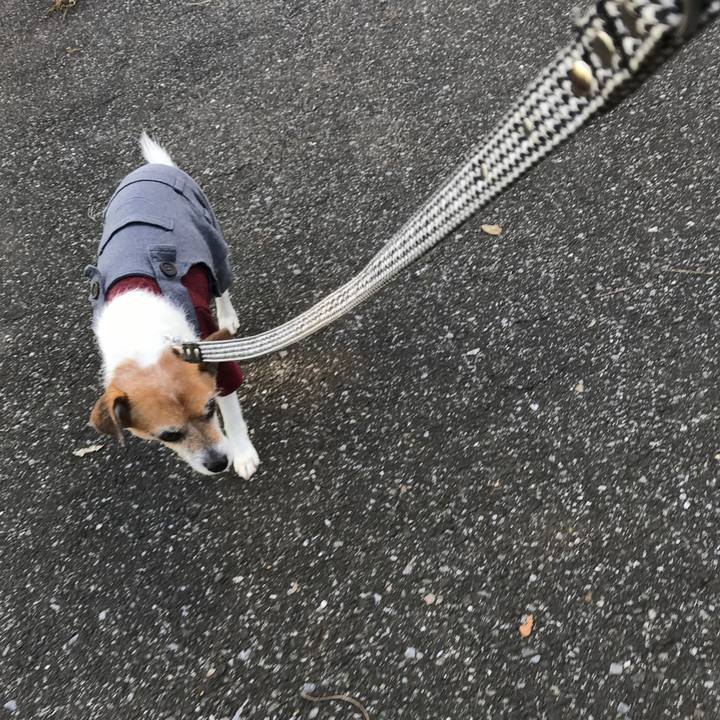 4738a9c3 0dc5 419a 9898 0e7decba16f3 1580282410261