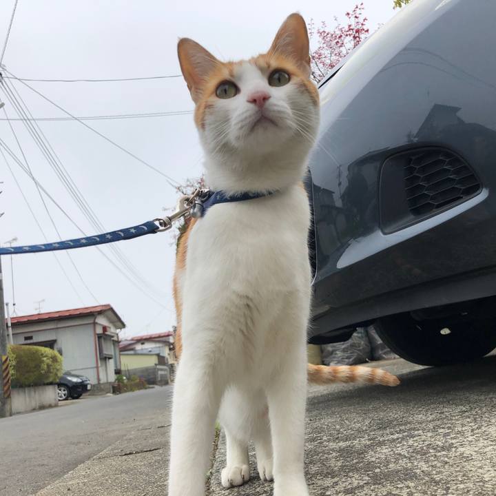 4738c171 8a4d 4e62 9705 6748542dac73 1556076488417