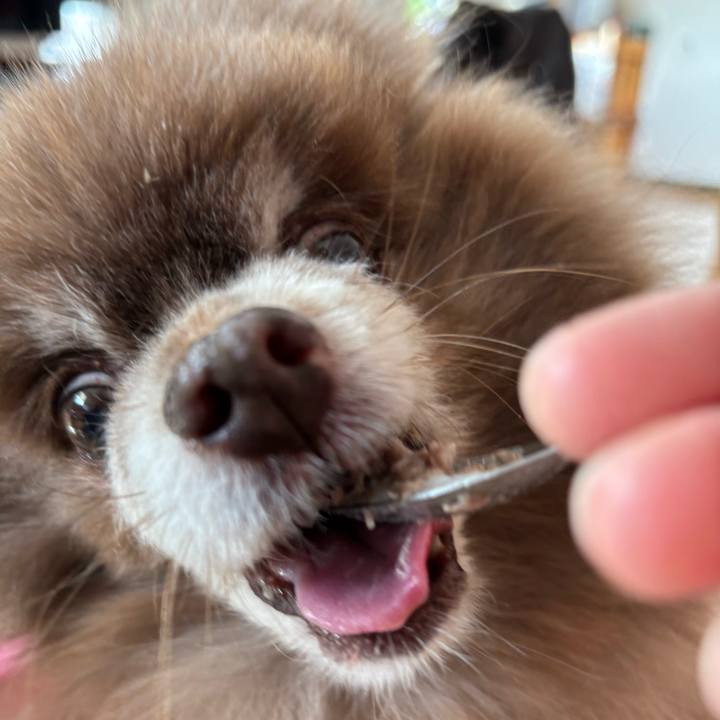 4738d37d aa61 4447 8f68 023fecfd84cd 1769249273461