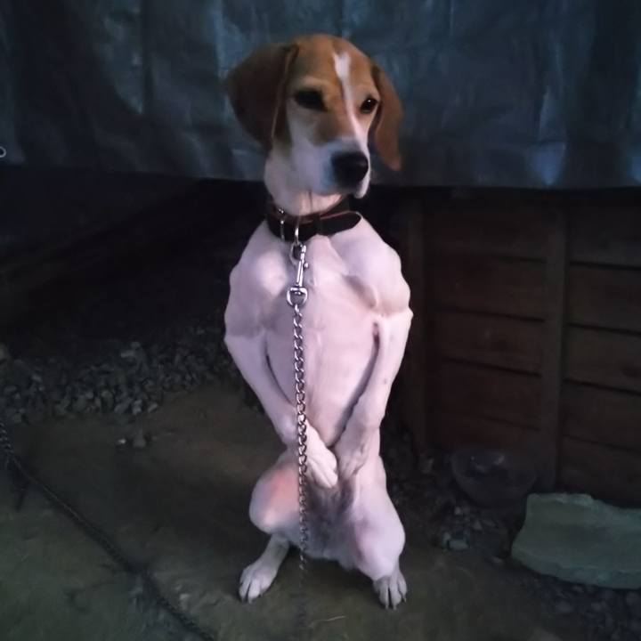 47393cba 534d 47d0 bfe3 3def317f65e7 1644570200765