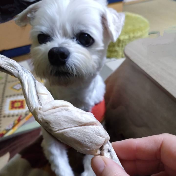 473982b7 8dc7 4c5d a2d8 10331f24a97a 1732606871104