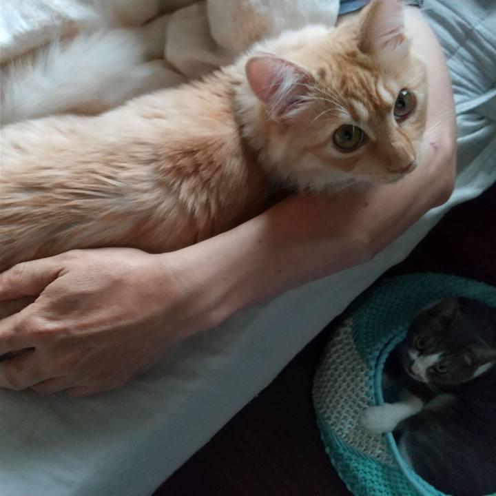 47399cbd 568c 4711 b7d2 dfa29cd06930 1624484906878