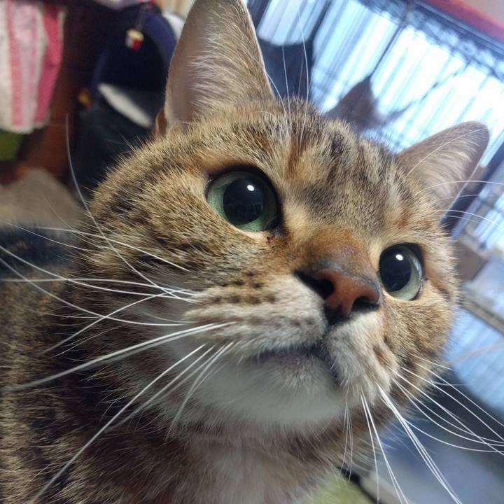 4739c59d bfc3 4881 879f f9a10d6dbcd4 1546341950544