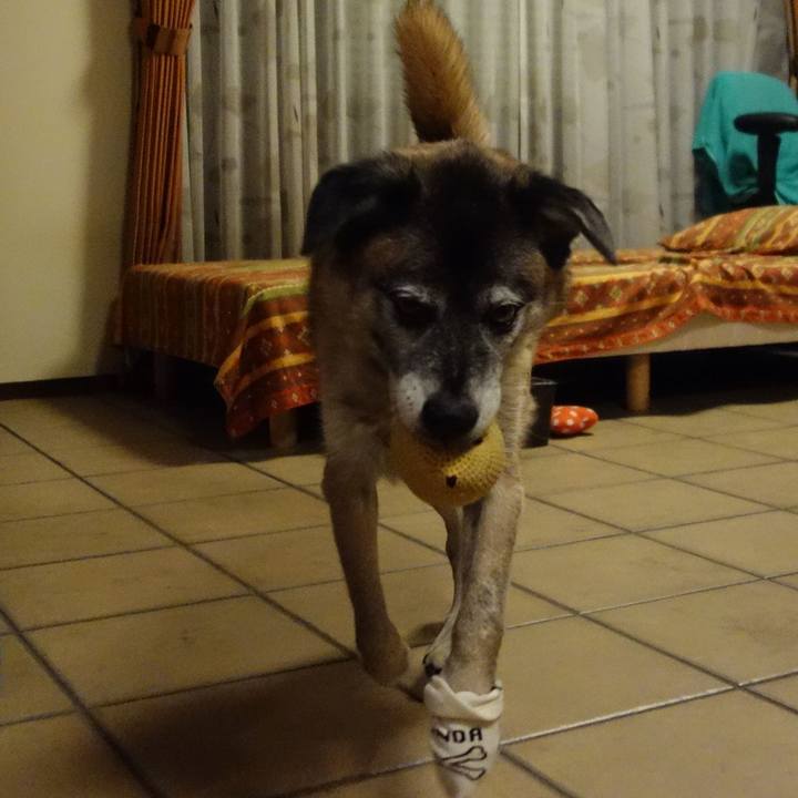 4739c74e 3af0 4d53 938b 3e842f5c8868 1535799709256