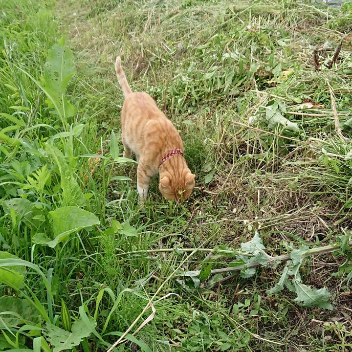 4739e961 38ce 4a03 8066 3a5bbf96900d 1561786937769