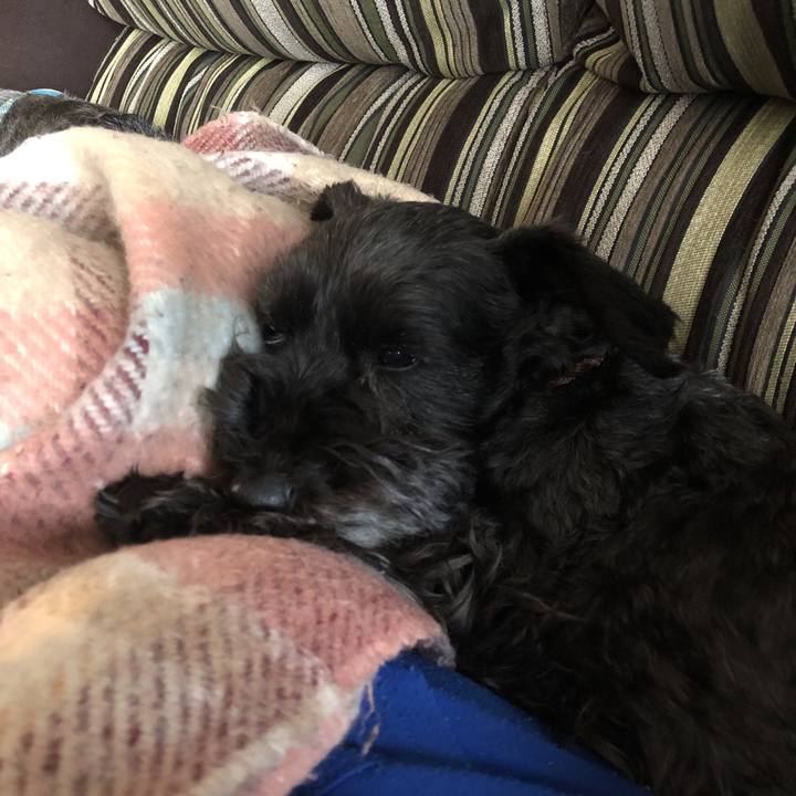 473a0ea2 c1e0 4119 9dff 039db6c340e9 1587092632747