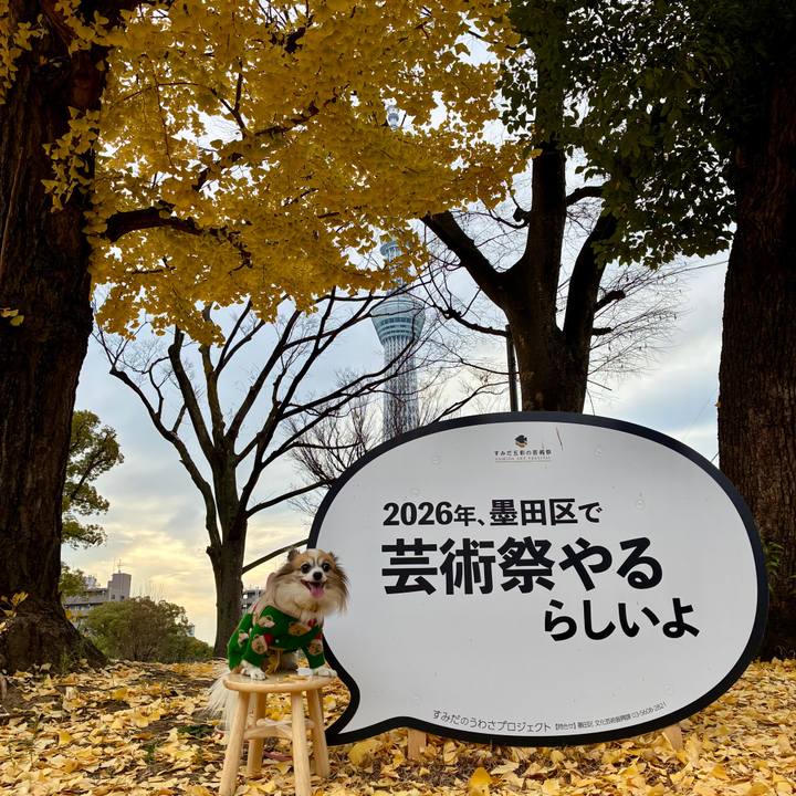 473a3932 9509 48eb b0cc 0436c5671385 1766193816669