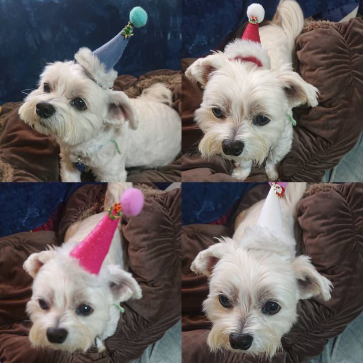 473a4120 e824 4de6 ba4d f1e1c341c6d5 1637217835506