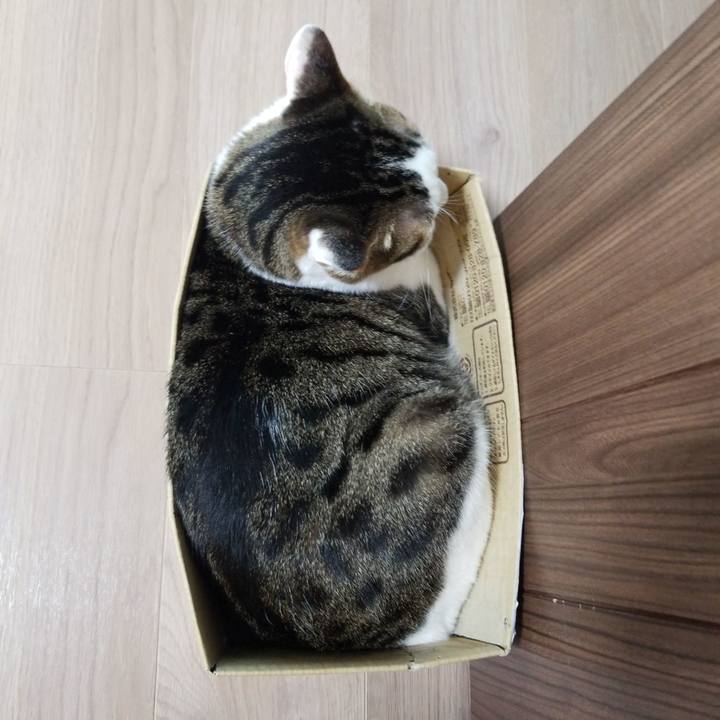 473a4cec 62ea 4bc2 9688 e9d03106eaed 1588800216995