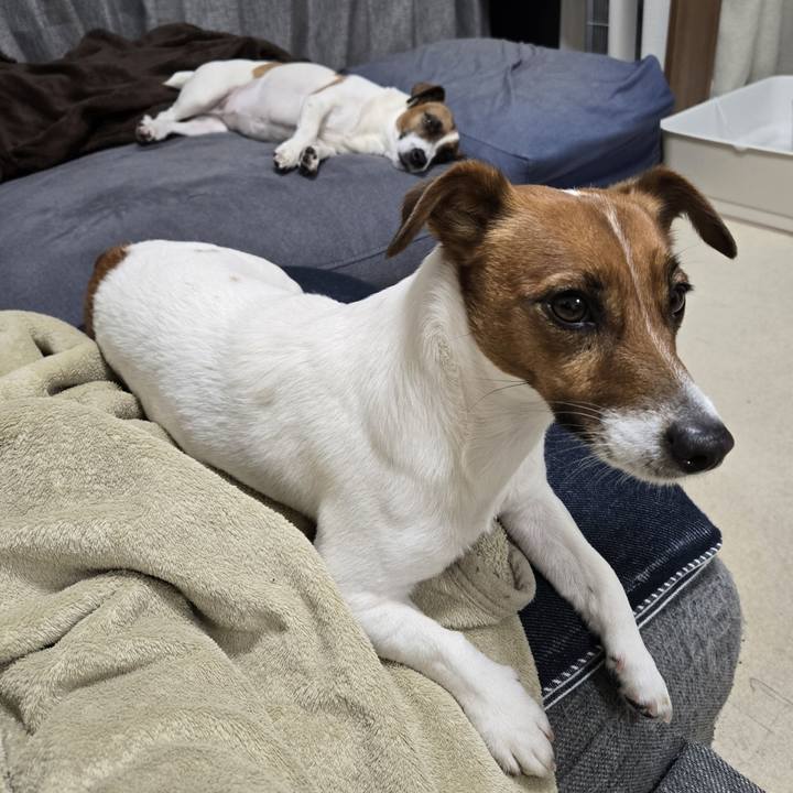 473a85a5 38a2 4cb0 8d0f de3fe55e2cf5 1771426617368