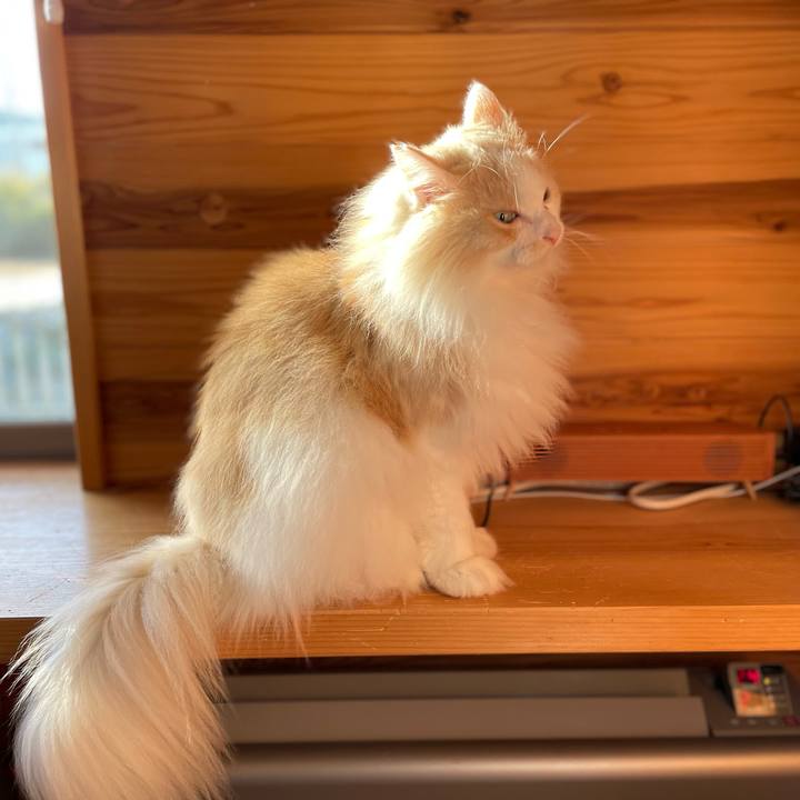 473a8a34 6d15 42f7 a479 5729c0ec8fd2 1674080830631